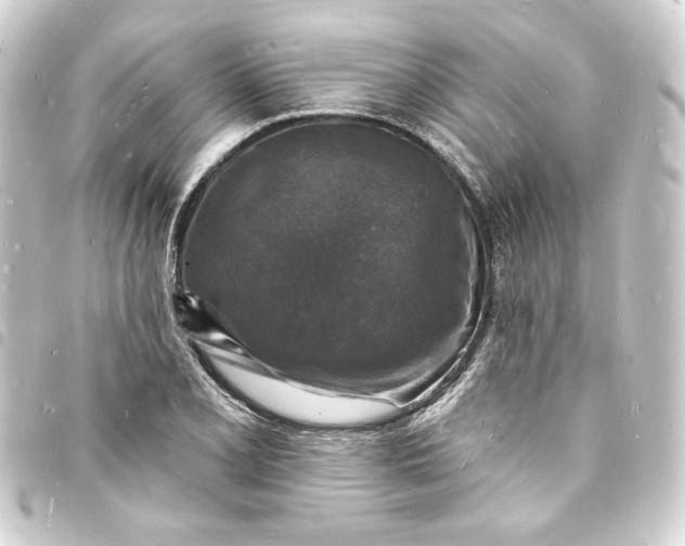 X0000093721077200710301019