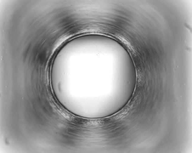 X0000093721078200710301019