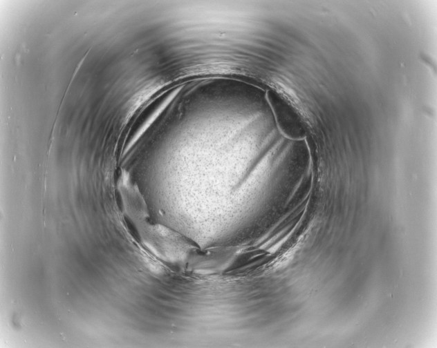 X0000093721081200710301019
