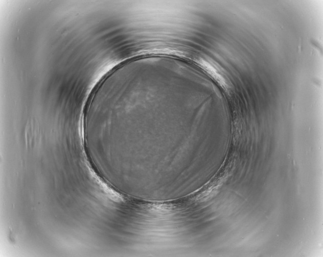 X0000093721084200710301019