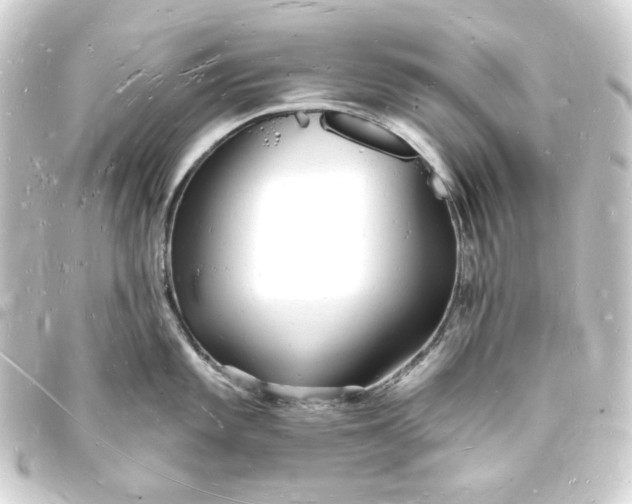 X0000093721101200710301019