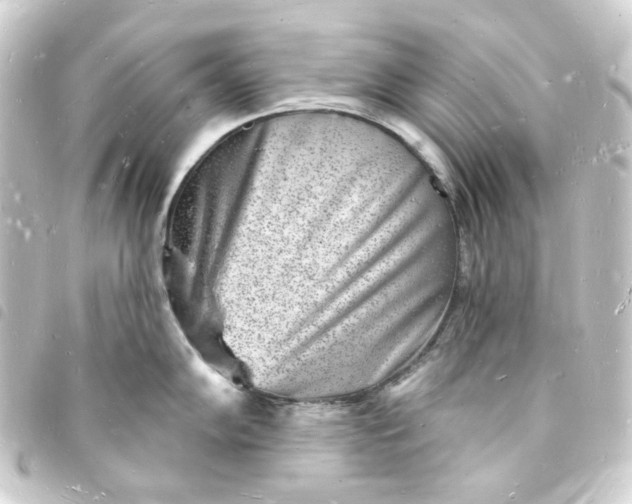 X0000093721102200710301019