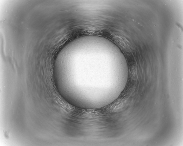X0000093721105200710301018