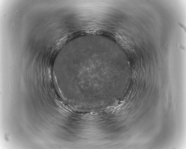 X0000093721106200710301018