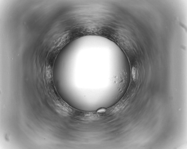X0000093721107200710301018