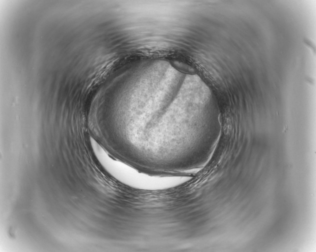 X0000093721108200710301018