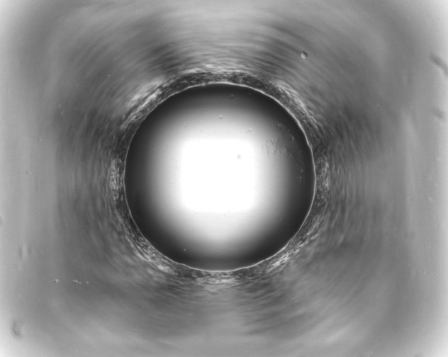 X0000093721110200710301018