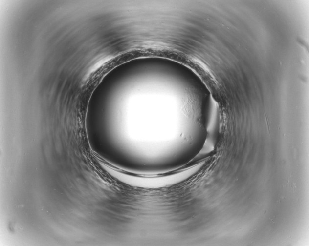X0000093721112200710301018