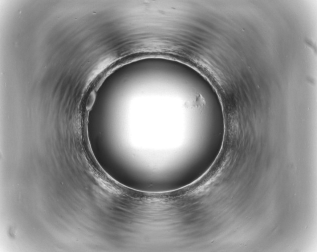 X0000093721114200710301019