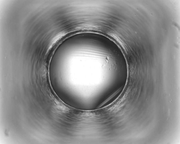 X0000093721115200710301019