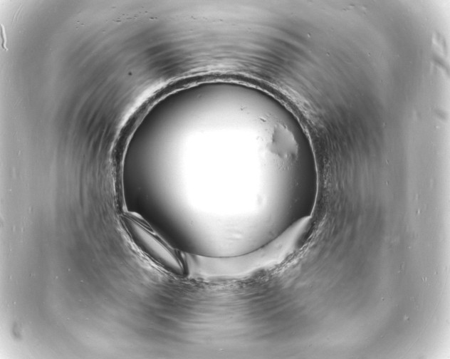 X0000093721118200710301019