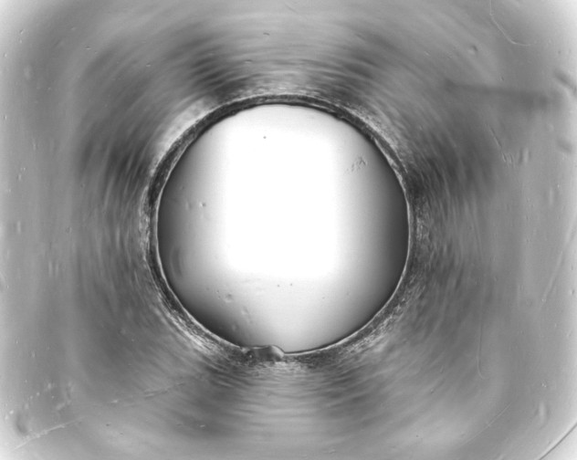 X0000093721119200710301019