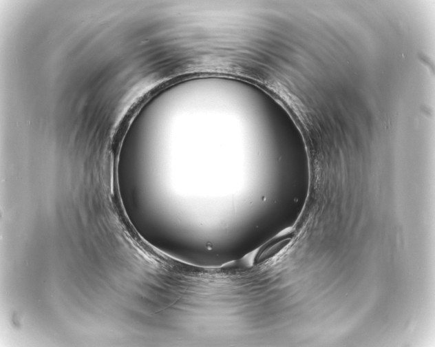X0000093721123200710301019
