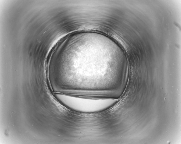 X0000093721124200710301019