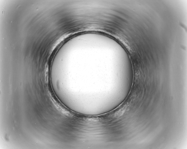 X0000093721126200710301019