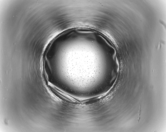 X0000093721128200710301019