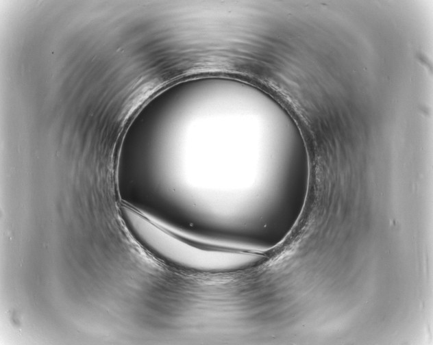X0000093721129200710301019