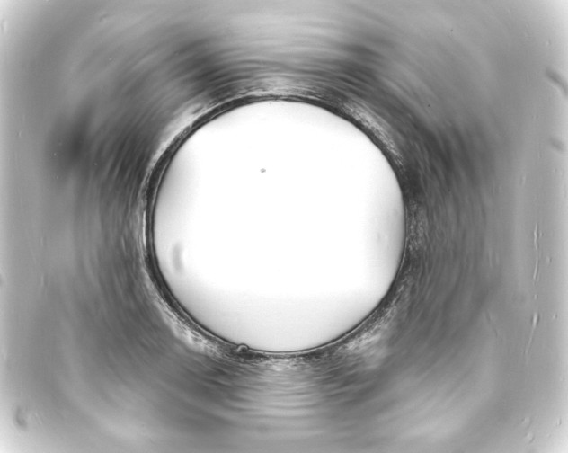 X0000093721130200710301019