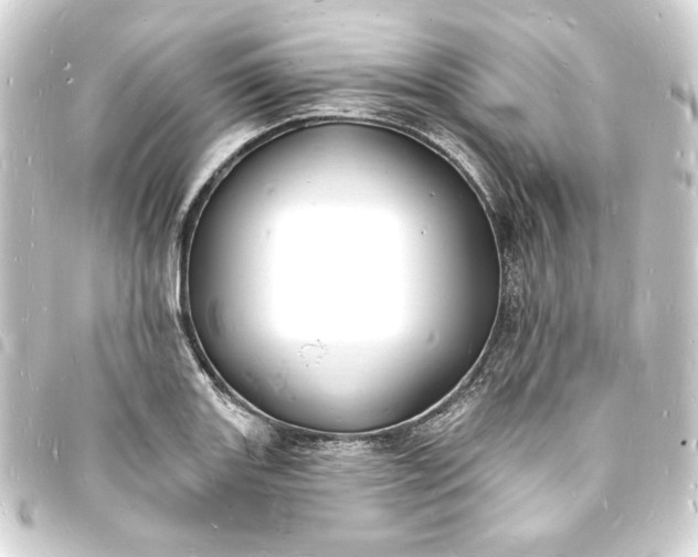 X0000093721131200710301019