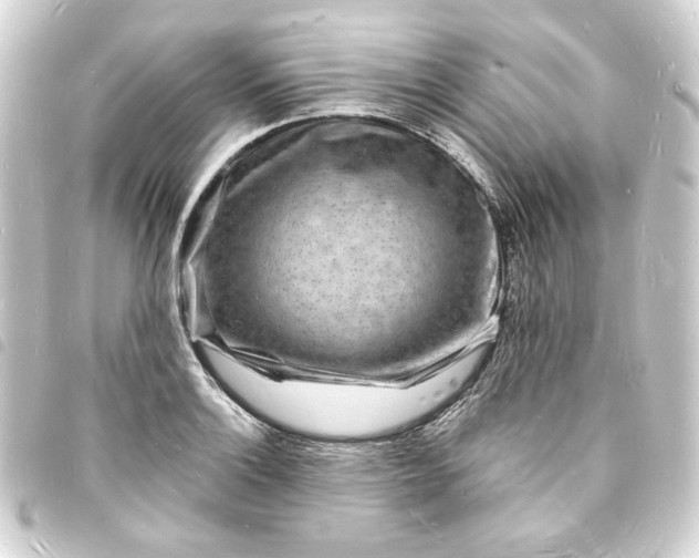X0000093721132200710301019