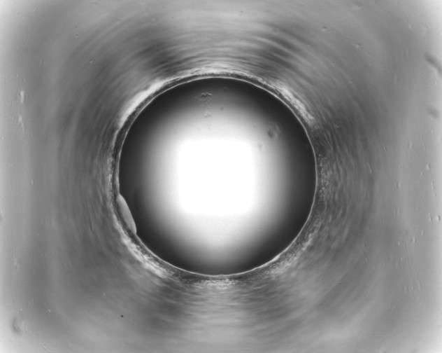 X0000093721134200710301019