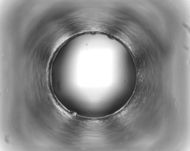 X0000093721135200710301019