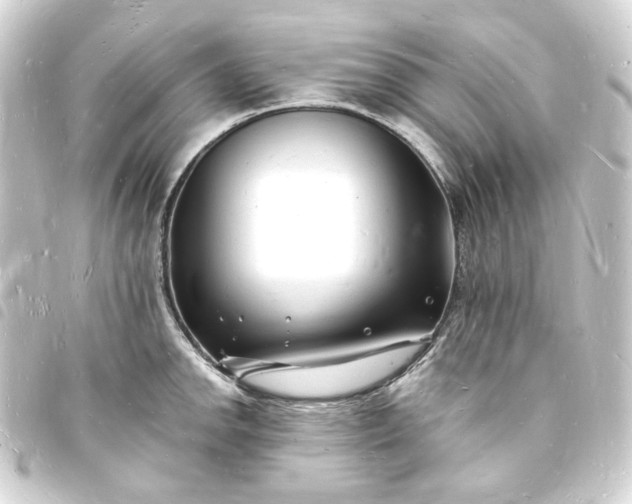 X0000093721142200710301019
