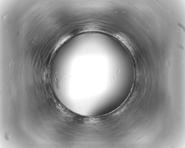 X0000093721145200710301019