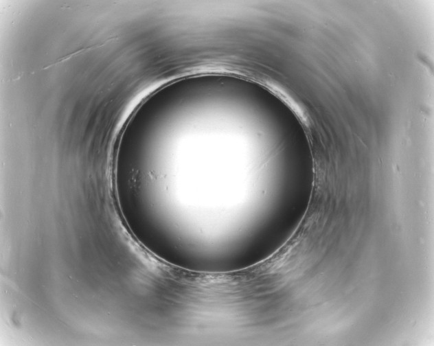 X0000093721148200710301019
