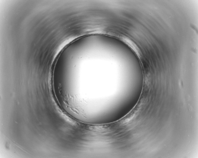 X0000093721149200710301019