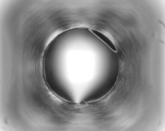 X0000093721151200710301019