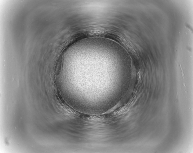 X0000093721153200710301018
