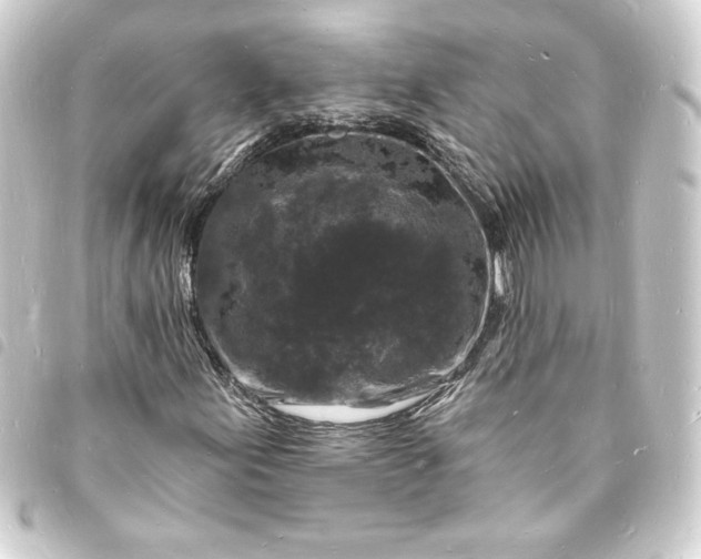 X0000093721155200710301018