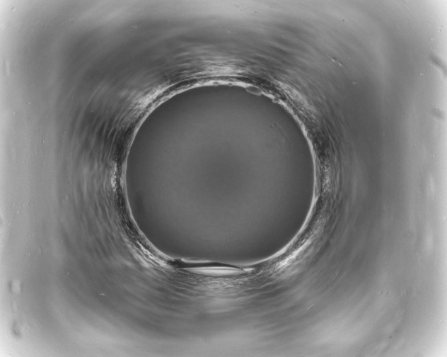 X0000093721161200710301018