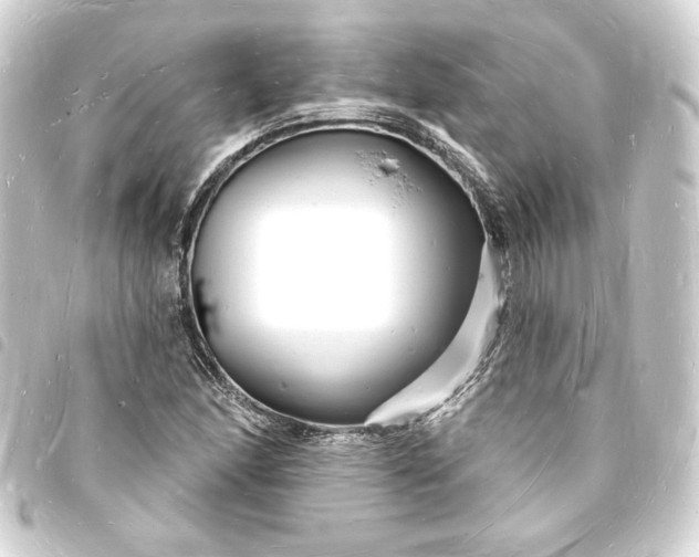 X0000093721166200710301018