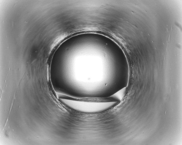 X0000093721171200710301018