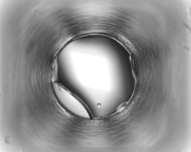 X0000093721177200710301018