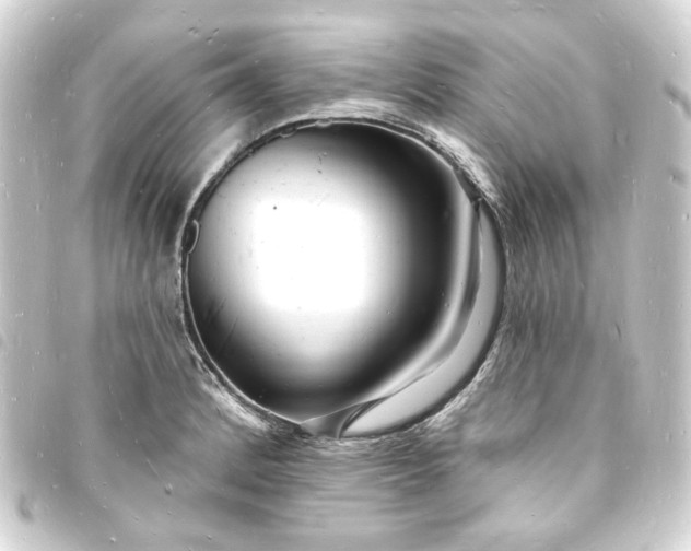 X0000093721184200710301018