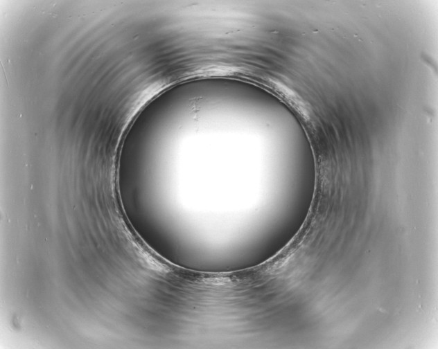 X0000093721186200710301018