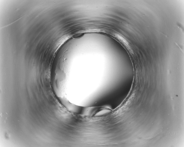 X0000093721193200710301018