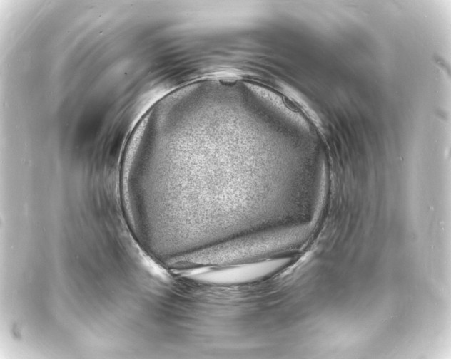 X0000093721194200710301018