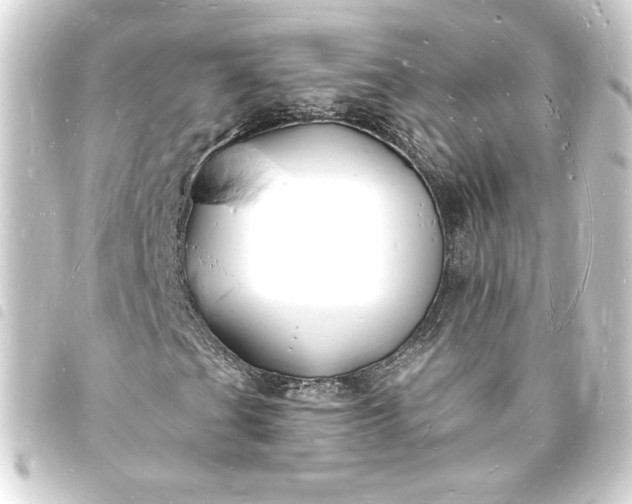 X0000093721201200710301017