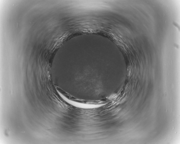 X0000093721202200710301017