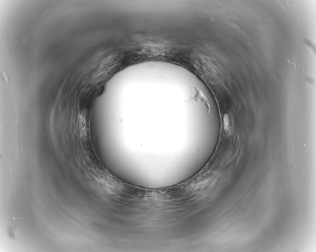 X0000093721203200710301017