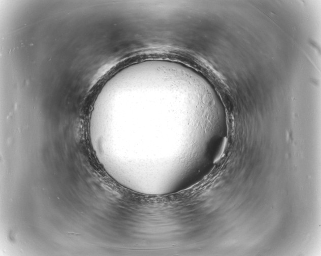 X0000093721208200710301017