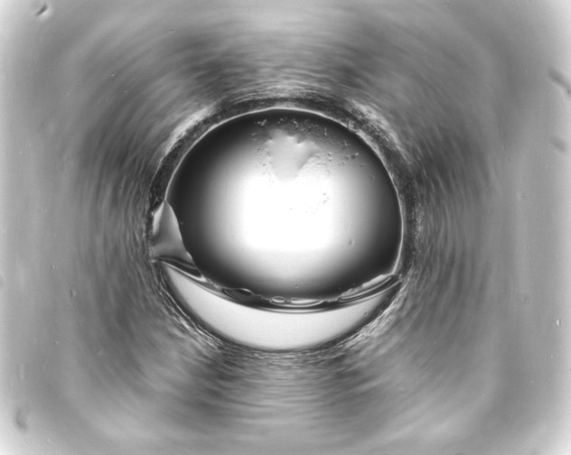 X0000093721210200710301017