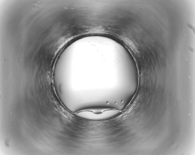 X0000093721212200710301017
