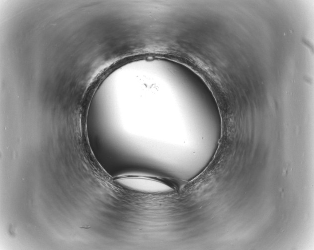X0000093721214200710301017