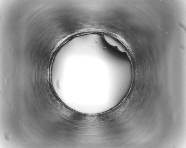 X0000093721220200710301017