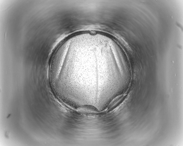 X0000093721224200710301018